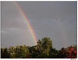 Immagine doppio Arcobaleno che si innalza da albero con piccolo doppio