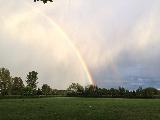 Immagine arcobaleno Arcobaleno che sovrasta alberi di parco ben tenuto