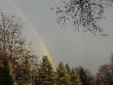 Immagine doppio Arcobaleno con piccolo doppio che cade nel bosco