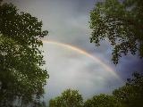 Immagine doppio Arcobaleno con piccolo doppio sopra chiome di alberi