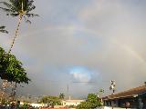 Immagine simile Arcobaleno dietro albero alto simile a palma