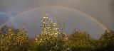 Immagine abbondante Arcobaleno in cielo molto brutto sopra vegetazione abbondante