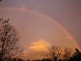 Immagine arcobaleno Arcobaleno in paesaggio marroncino