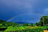 Immagine arcobaleno Arcobaleno in un bel cielo blu sopra un bel prato verde