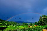 Immagine bel Arcobaleno in un bel cielo blu sopra un bel prato verde