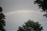 Immagine arcobaleno Arcobaleno incastrato tra alberi