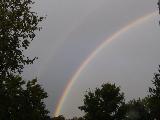 Immagine arcobaleno Arcobaleno incorniciato da alberi al calare del giorno