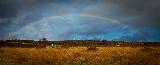 Immagine arcobaleno Arcobaleno intero sopra prateria