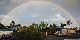 Immagine arcobaleno Arcobaleno intero su città con palme