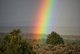 Arcobaleno molto largo su natura incontaminata