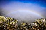 Immagine nebbia Arcobaleno nella nebbia oltre le rocce