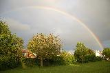 Immagine arcobaleno Arcobaleno sopra alberi di diverso tipo