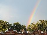 Arcobaleno sopra alberi di giardino di bella struttura