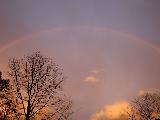 Arcobaleno sottile in paesaggio scuro con alberi secchi