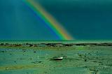 Arcobaleno spesso che cade su mare e terra di colore verde