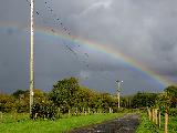 Immagine arcobaleno Arcobaleno tra nuvole molto grigie sopra stradina di campagna