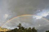 Arcobaleno tra nuvole sopra chiome di alberi