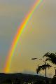 Immagine arcobaleno Arcobaleno verso il cielo quasi verticale