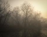 Atmosfera macabra in bellissimo paesaggio con alberi spettrali