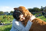 Immagine tenerezza Autentici momenti di tenerezza tra cane e padrone