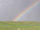 Immagine infonde Bel paesaggio che infonde serenità con prato e arcobaleno