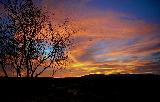 Immagine bel Bel paesaggio con albero fantastico e cielo variopinto