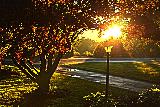 Bellissimo parco con albero e lampione al tramonto