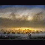 Immagine cielo mistico Camminata verso il campo sotto un cielo mistico