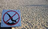 Immagine scogli Cartello al mare di divieto di gettarsi sugli scogli
