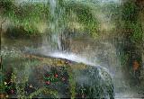 Immagine cascata Cascata in bel giardino verdeggiante