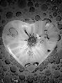 Immagine cuore Cuore astratto simil cristallo in bianco e nero