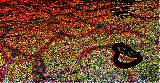 Immagine altri Cuore nero su trama multicolore con altri cuori rossi
