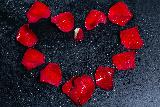 Immagine cuore Cuore rappresentato con petali di rose rosse