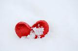 Cuore rosso verticale incastrato nella neve