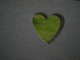 Immagine prato Cuore su prato verde ricavato in schienale di panchina