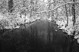 Desolato paesaggio invernale con fiume e alberi