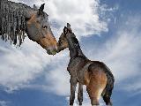 Immagine sotto Dolce cavallino con cavallo adulto sotto un bel cielo