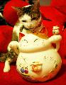 Immagine gattino Dolce gattino su un simpatico gatto di porcellana