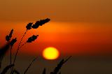 Immagine vista Dolce tramonto da punto di vista di erba