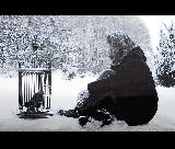 Donna accovacciata sulla neve che fissa gabbia con uccello