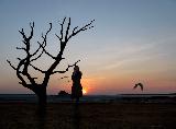 Immagine vicino Donna vicino ad albero scheletrico che suscita grande tristezza