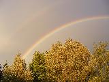 Immagine doppio Doppio arcobaleno che illumina cielo e alberi