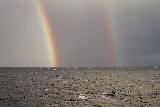 Immagine doppio Doppio arcobaleno che si estende dal mare plumbeo