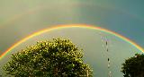 Doppio arcobaleno con luce intensa sopra alberi