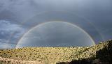 Immagine doppio Doppio arcobaleno sopra una zona che sembra desertica