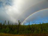 Immagine vegetazione Doppio arcobaleno sopra vegetazione folta con piante alte