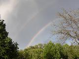 Immagine doppio Doppio arcobaleno sottile tra le fronde degli alberi