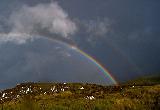 Immagine erba Doppio arcobaleno sulla terra con molta erba