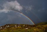 Doppio arcobaleno sulla terra con molta erba