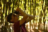 Fotografo che punta la sua macchina fotografica in alto in fitto bosco